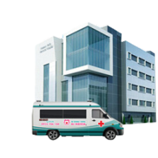 Khách hàng mỗi năm